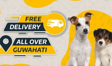 Let’s know about a unique organisation: PetScribe.