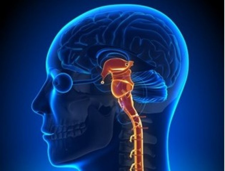 How Do You Fight Epilepsy When You're Alone? - Dr. Sawhney's perspective.