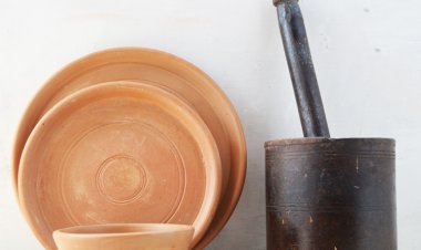 Multi Nutrition & Oil Absorb Dinnerware