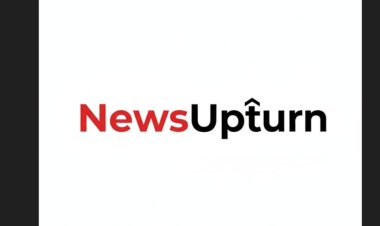 News Upturn Review: Digital News Portal with Broad Coverage